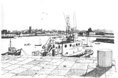 Donaghadee harbour